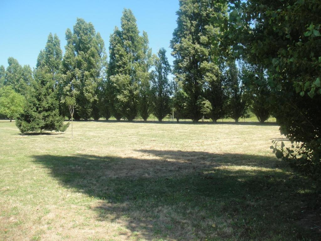 Ibis Budget Chatellerault Nord Exterior foto